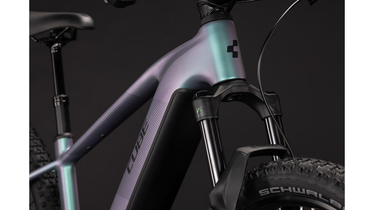 {E132D3C4-540F-4999-A3EB-DC7DB4621E01}